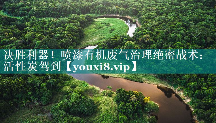 决胜利器！喷漆有机废气治理绝密战术：活性炭驾到