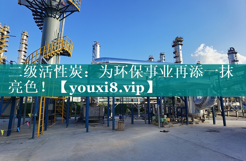二级活性炭：为环保事业再添一抹亮色！